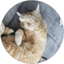 Delia Metzler profile picture